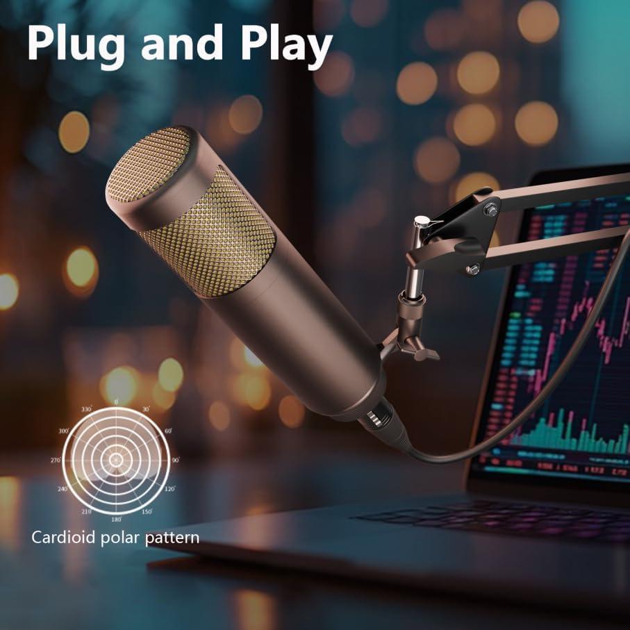 Micrófono Dinámico Hayner-Seek XLR 1.23kg para Podcast