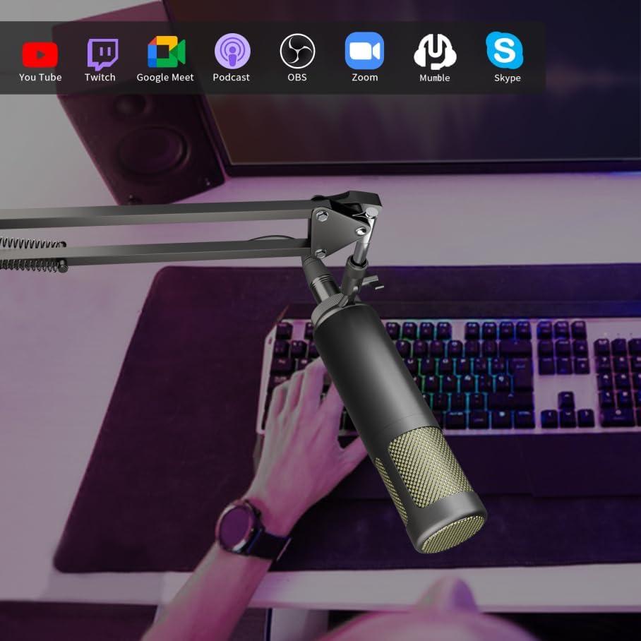 Micrófono Dinámico Hayner-Seek XLR 1.23kg para Podcast