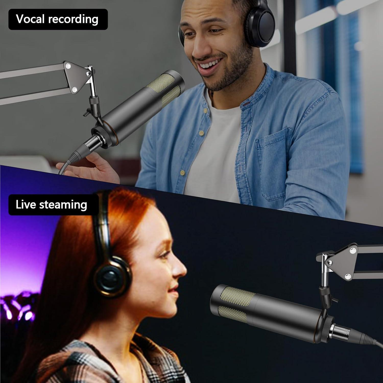 Micrófono Dinámico Hayner-Seek XLR 1.23kg para Podcast