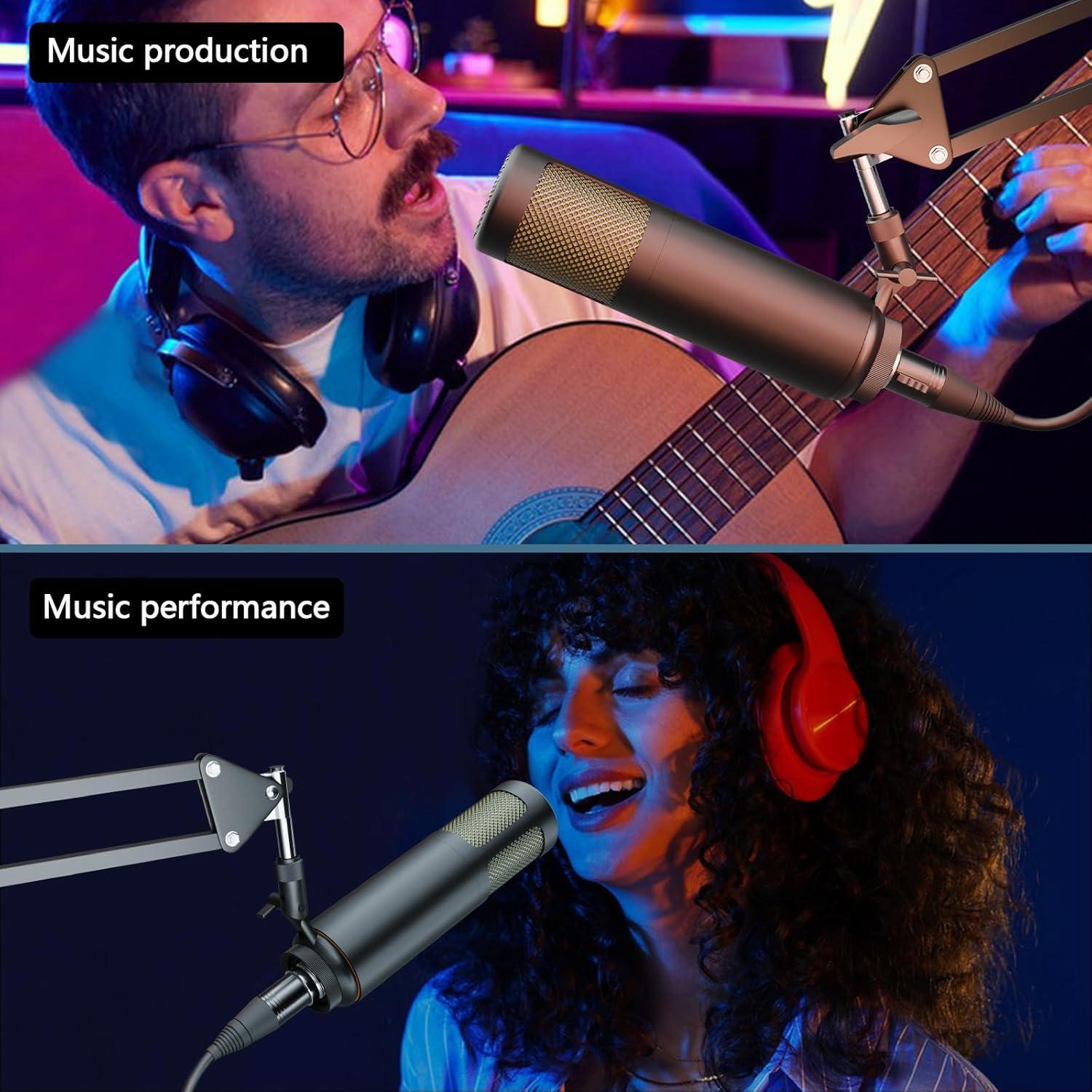 Micrófono Dinámico Hayner-Seek XLR 1.23kg para Podcast