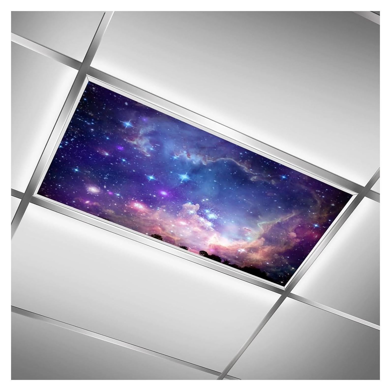 Filtros de Luz Fluorescente Magnéticos RoseFace 2 Piezas 121x61cm