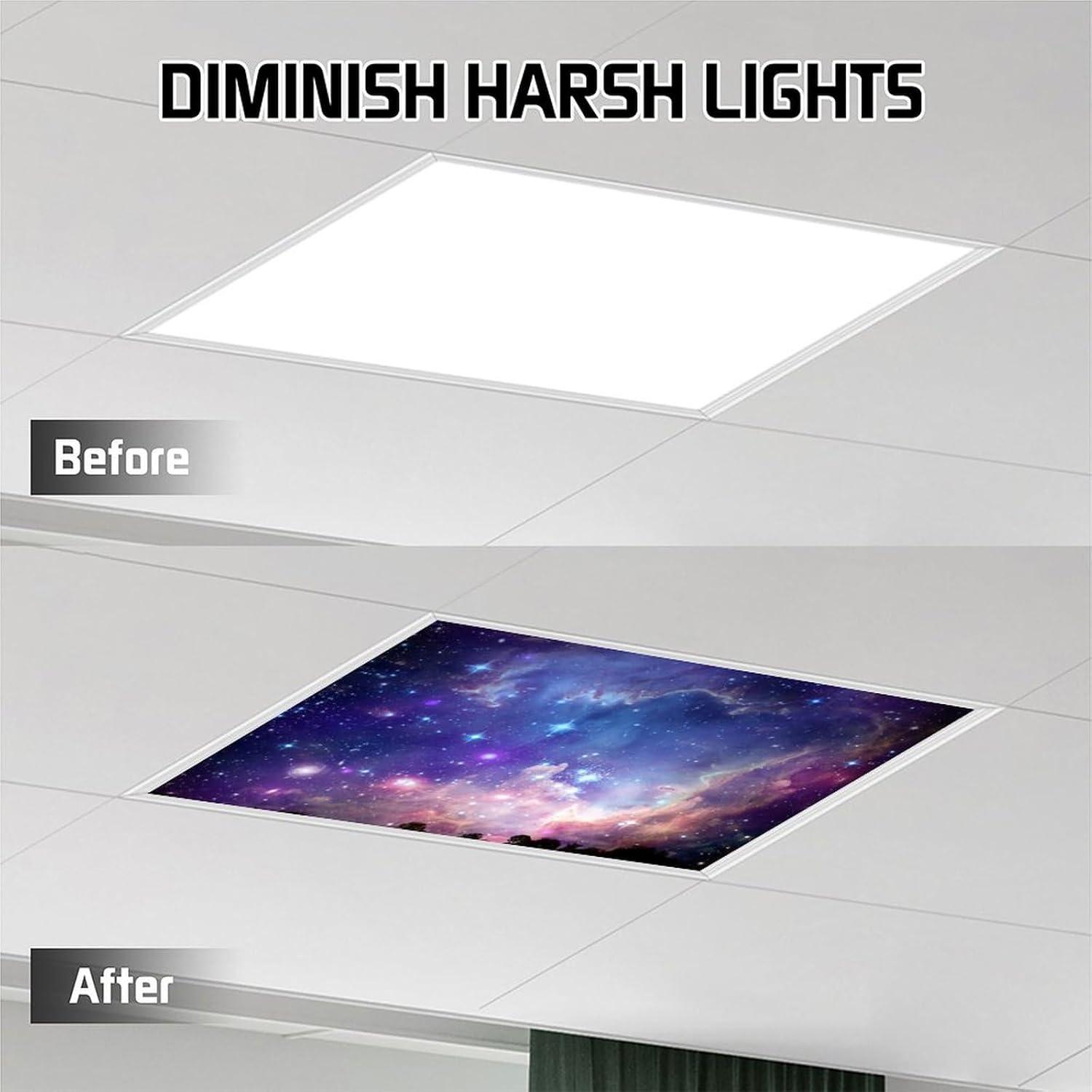 Filtros de Luz Fluorescente Magnéticos RoseFace 2 Piezas 121x61cm