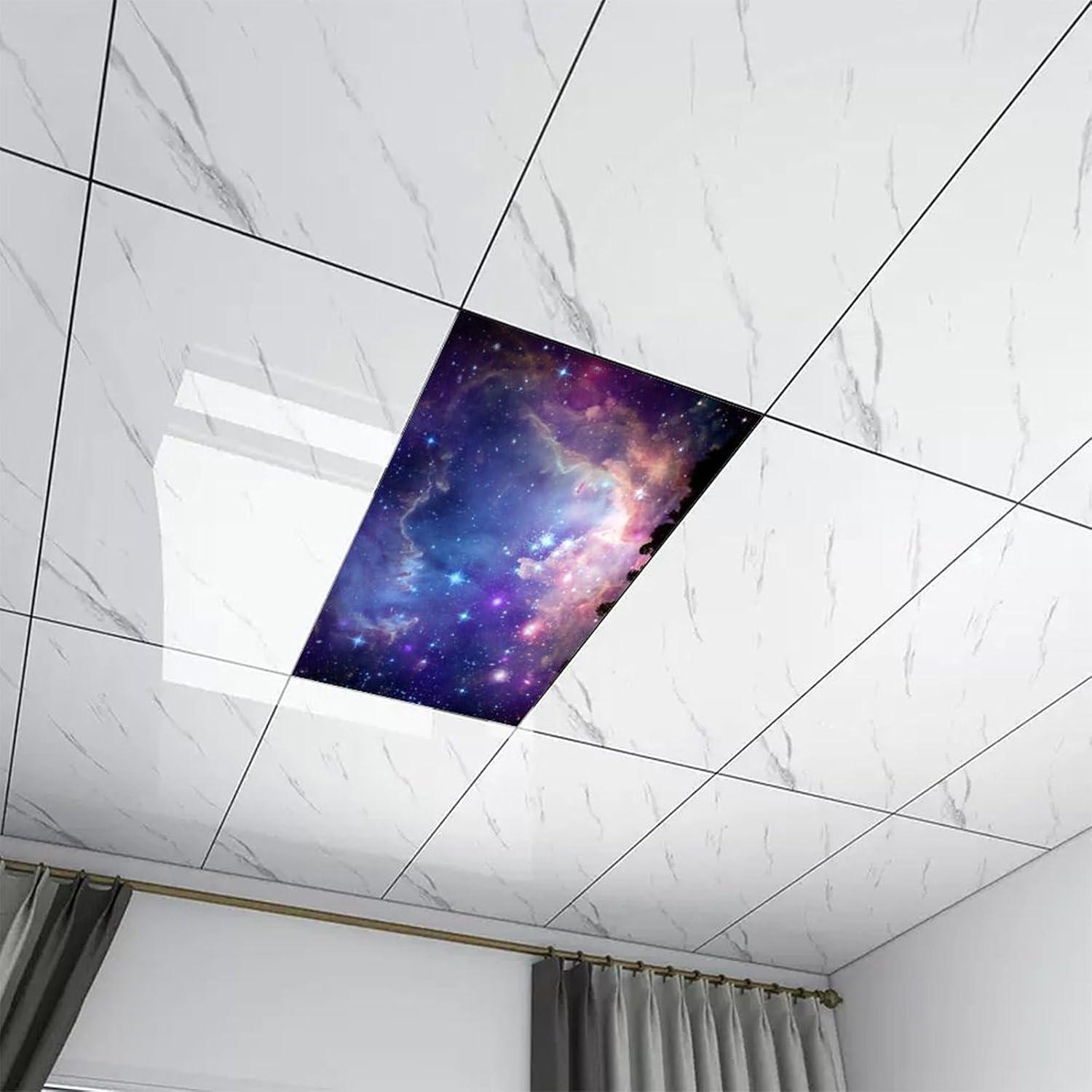 Filtros de Luz Fluorescente Magnéticos RoseFace 2 Piezas 121x61cm