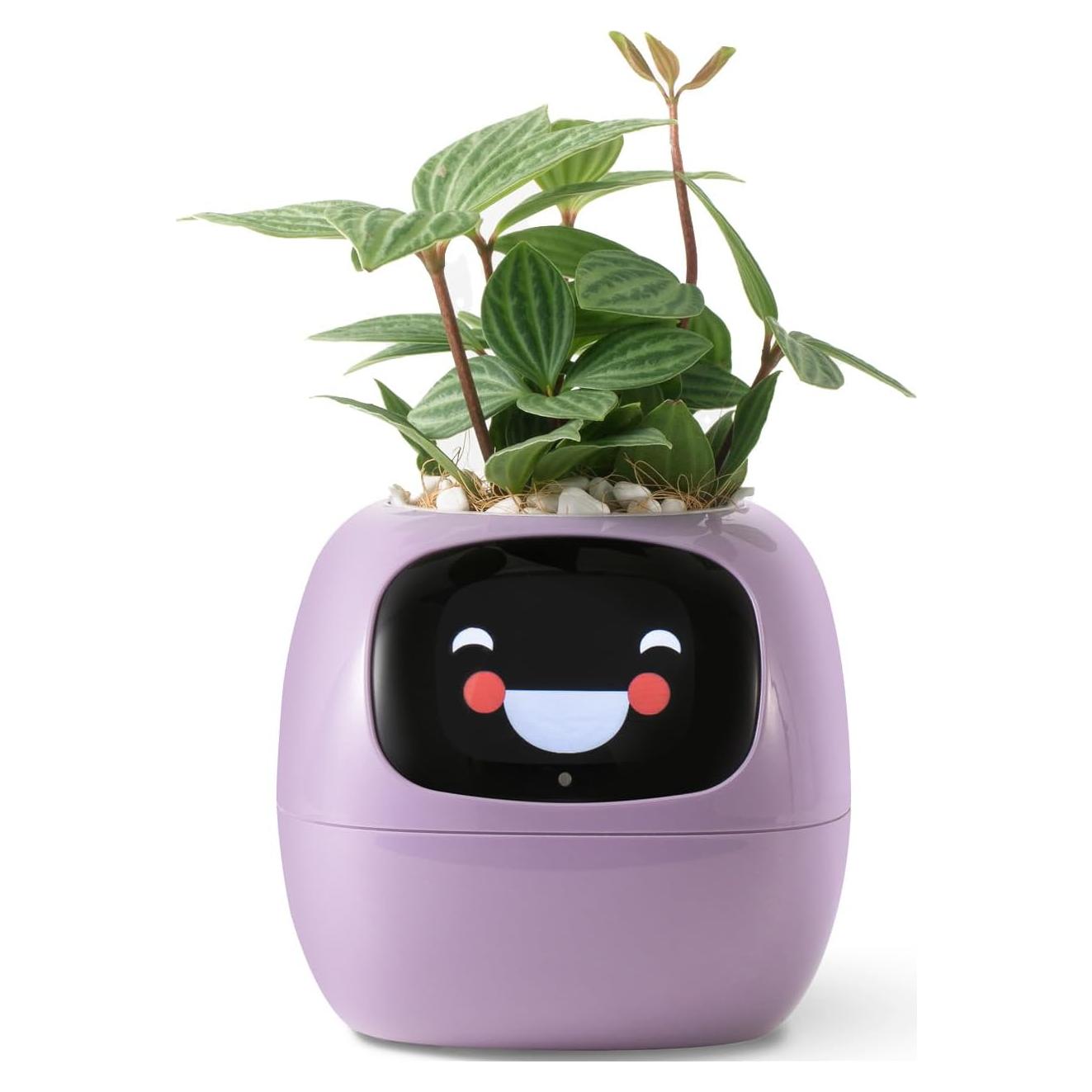 Maceta Inteligente PLANTSIO Ivy con Riego Automático