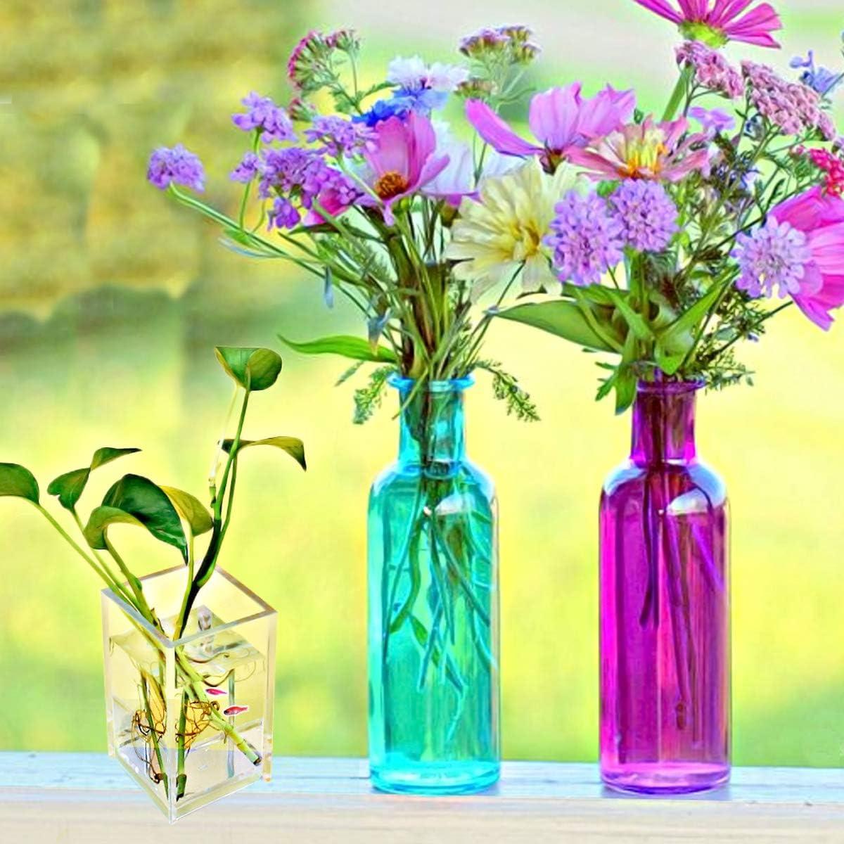 Soporte de Lápiz Acrílico Transparente Cerpourt 2 Unidades