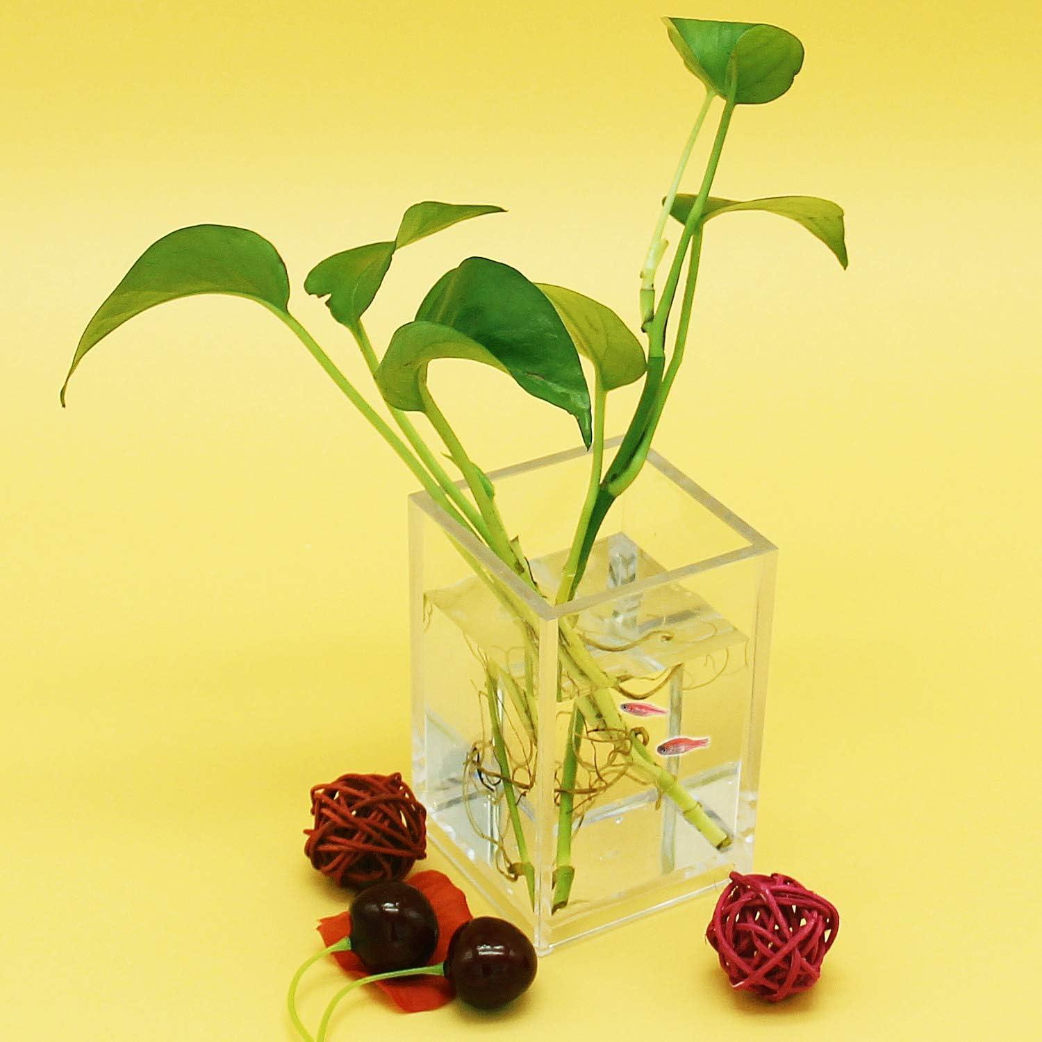 Soporte de Lápiz Acrílico Transparente Cerpourt 2 Unidades