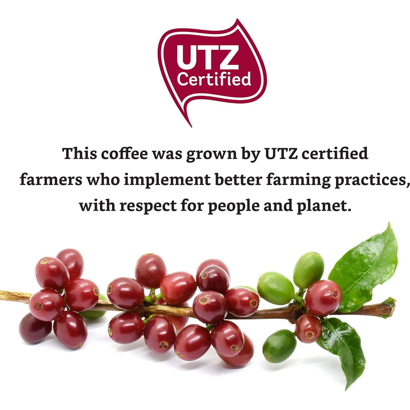 Cápsulas de Espresso Solimo Amazon 50 Unidades Tostado Medio