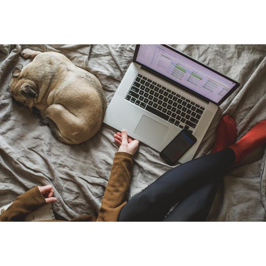 Cable USB Tipo A a Tipo C 5 Pies OMNIHIL Alta Velocidad