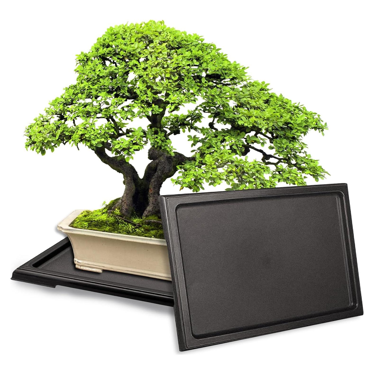 Bandejas de Humedad para Bonsai KEOHOLI 2 Piezas 29x21cm