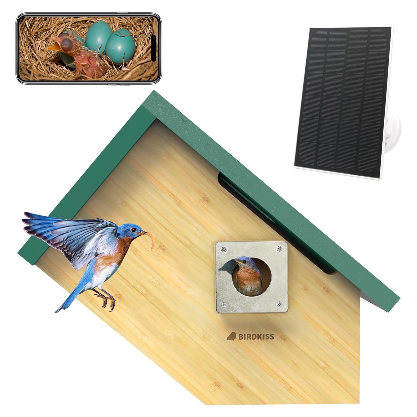 Casa para Aves Inteligente Birdkiss Verde HD 1080P Solar