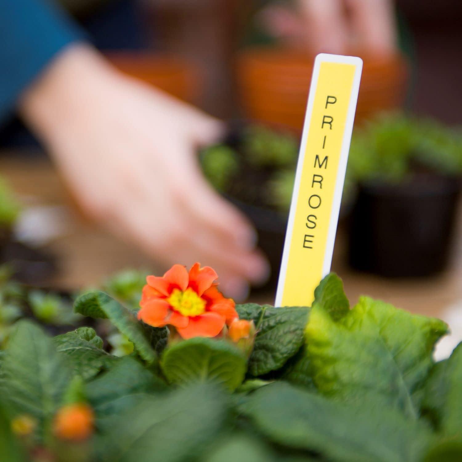 Etiquetadora portátil Brother P-Touch PTH110BP con 4 cintas