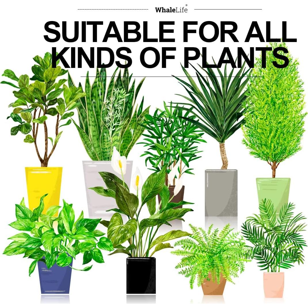 Regadera WhaleLife 2L Rojo Terracota para Bonsáis