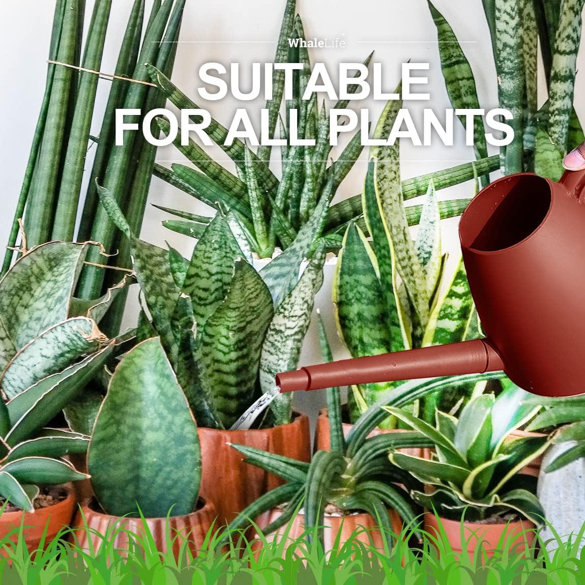 Regadera WhaleLife 2L Rojo Terracota para Bonsáis