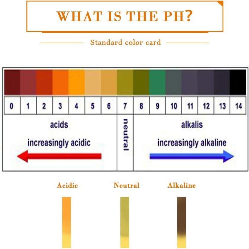 Kit de Herramientas para Acuarios Capetsma 5 en 1 Acero Inoxidable