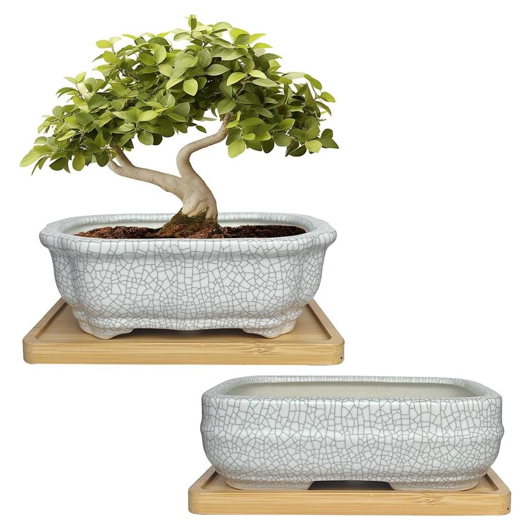 Maceta de Cerámica Craquelada Blanca MUZHI 14.7x10.7cm con Bandeja