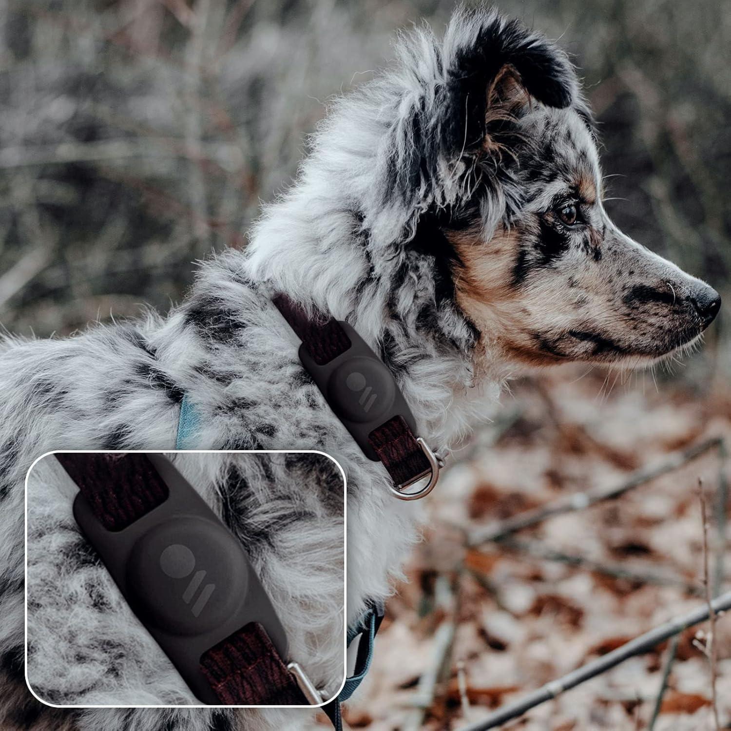 Soporte para Collar de Perro Airtag Case-Mate 2 Piezas - Negro