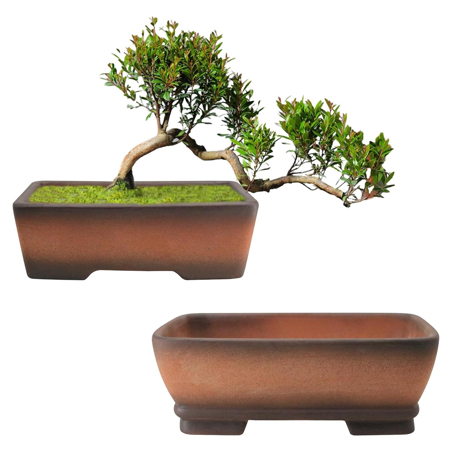 Maceta Rectangular MUZHI 2 Piezas Cerámica Drenaje 17.8cm