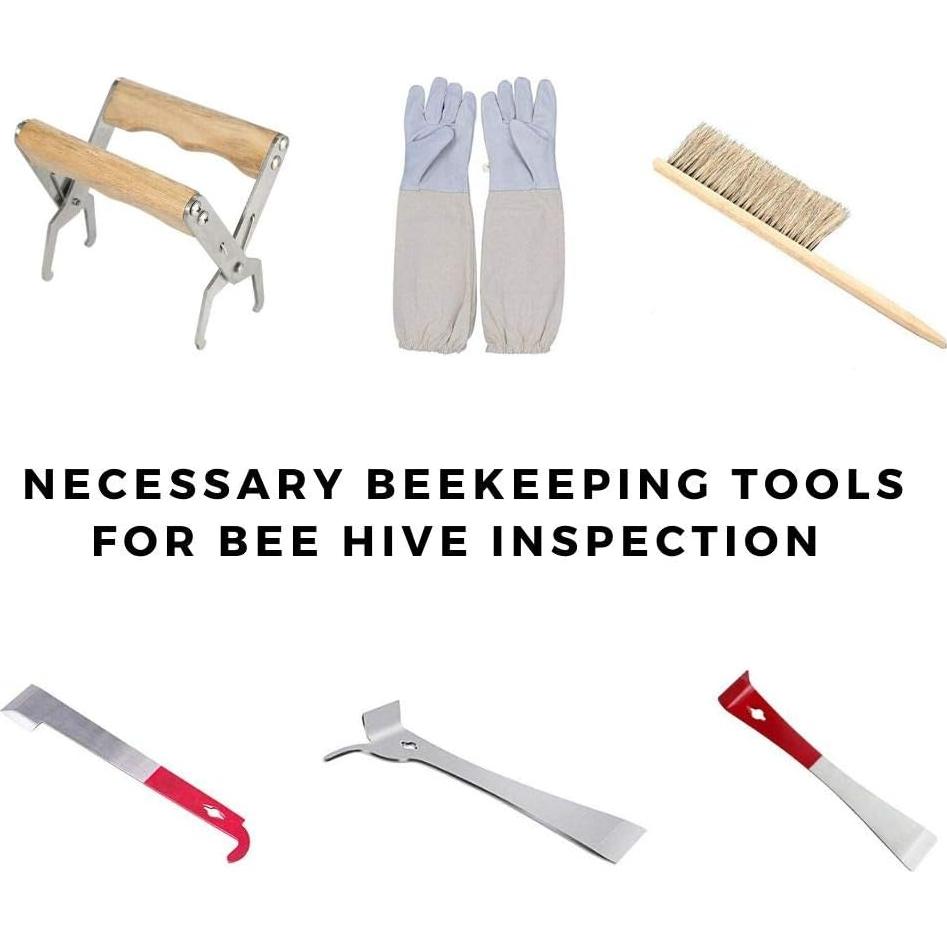 Kit de Apicultura BeeCastle 14 Piezas con Guantes y Tote