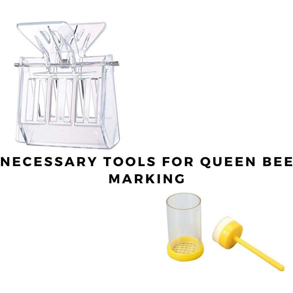 Kit de Apicultura BeeCastle 14 Piezas con Guantes y Tote