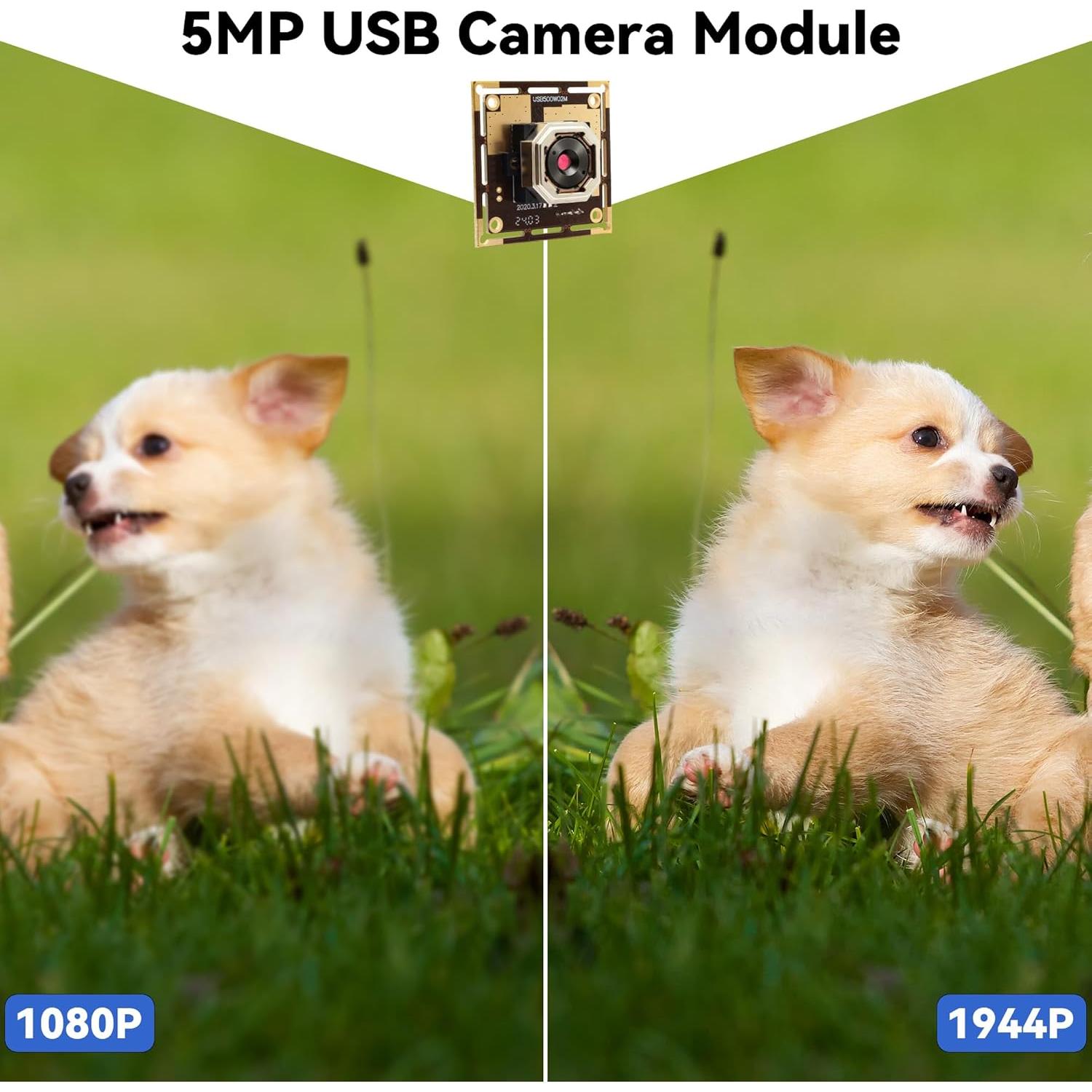 Cámara USB 5MP Hotpet con Autofoco y 60 Grados de Ángulo