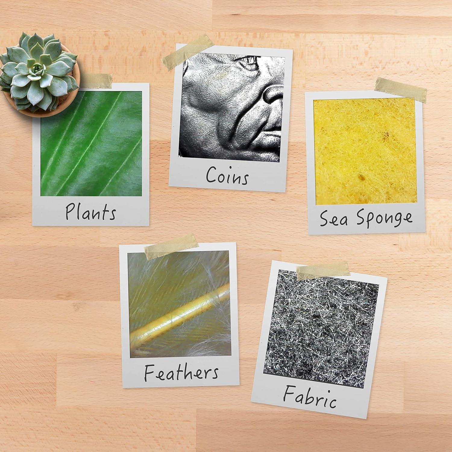 Microscopio Digital USB Plugable 250x 2MP con Soporte Flexible