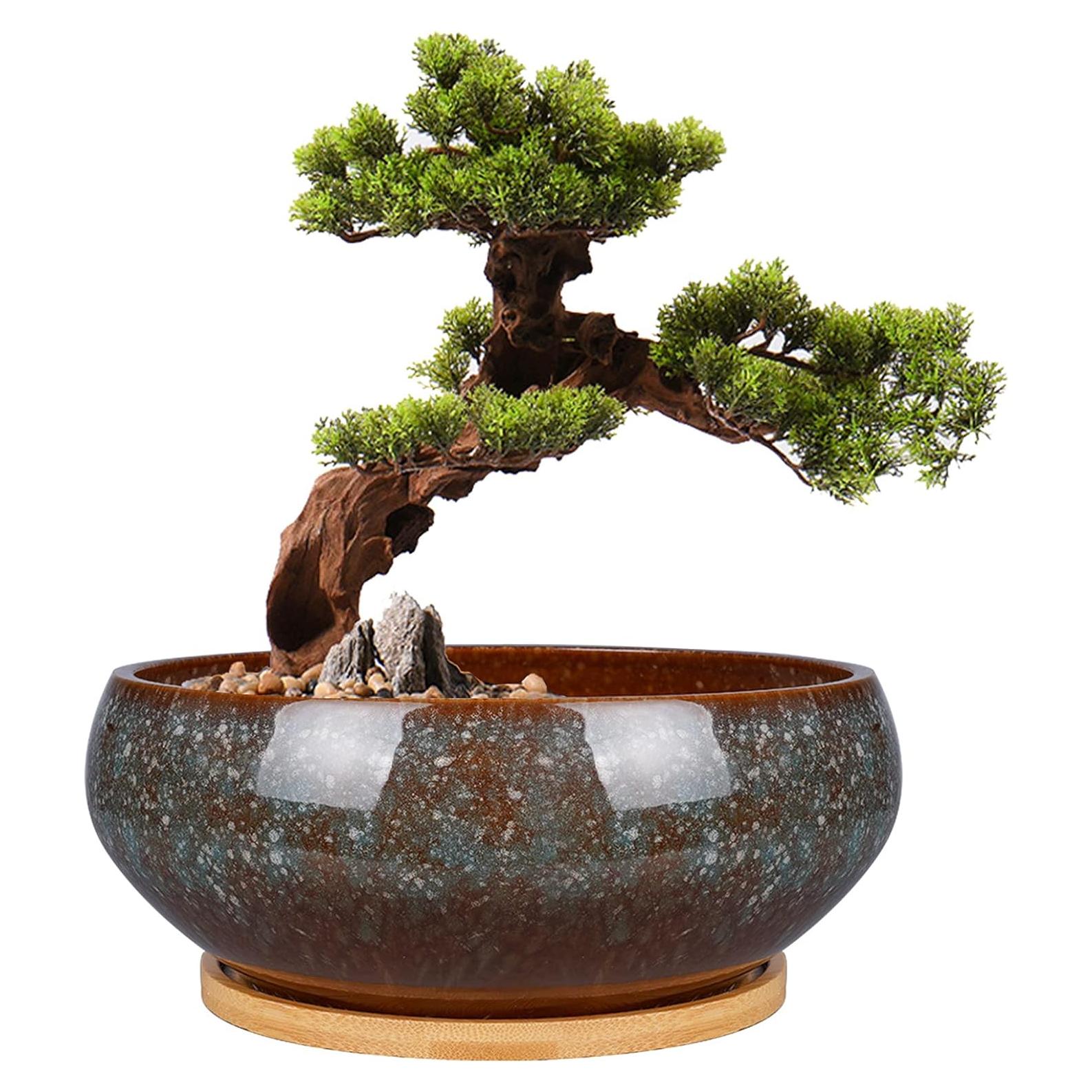Maceta de Bonsai Cerámica EPFamily 20 cm con Plato de Bambú