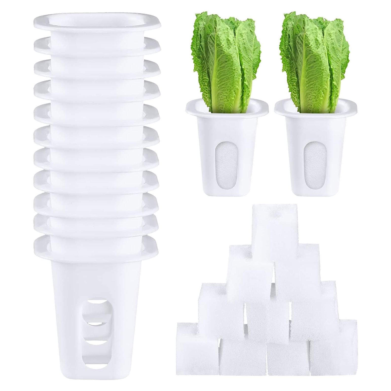 Kit Hidropónico Hoolerry 100 Piezas Cestas y Esponjas