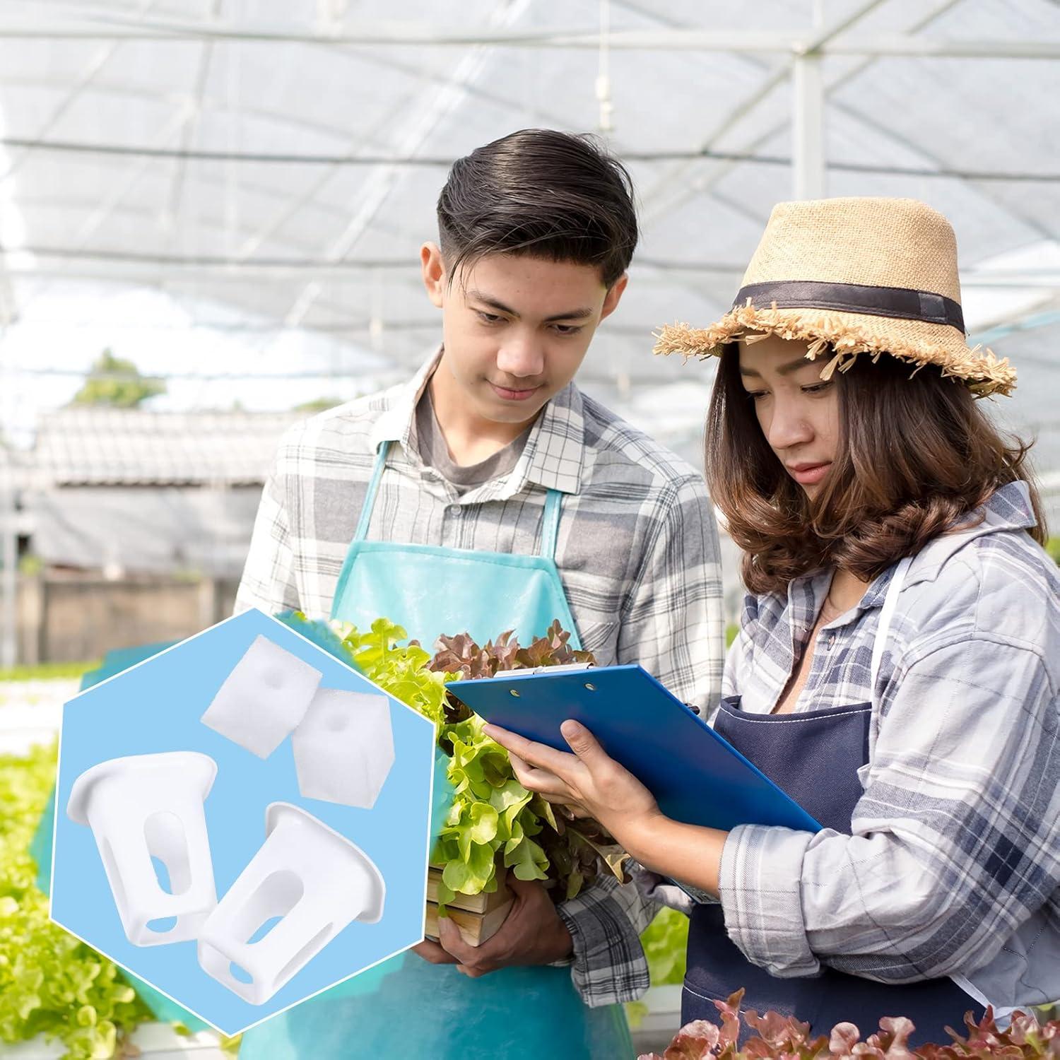 Kit Hidropónico Hoolerry 100 Piezas Cestas y Esponjas