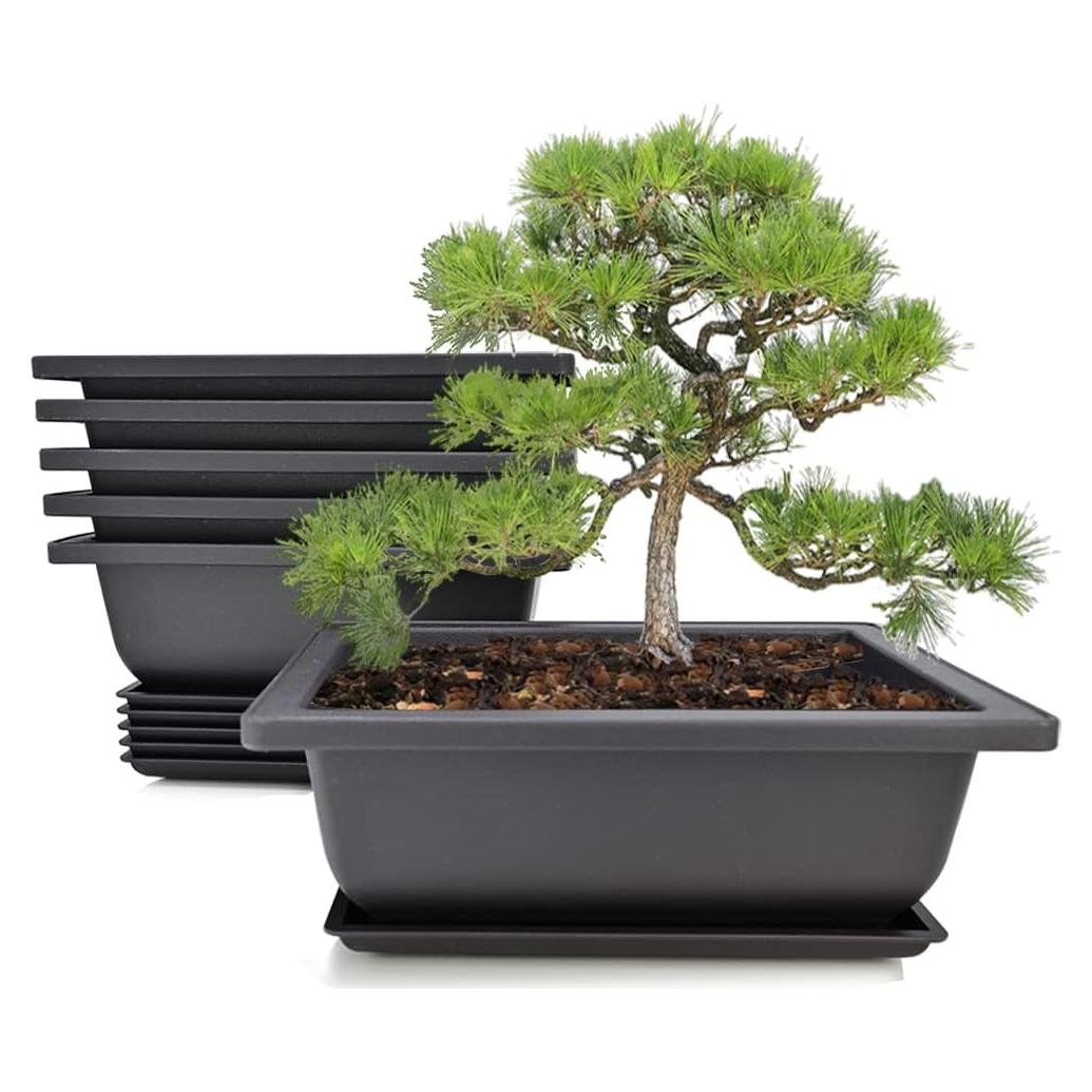Macetas Cuadradas MUZHI 6 Piezas Retro 16.5 cm para Bonsai