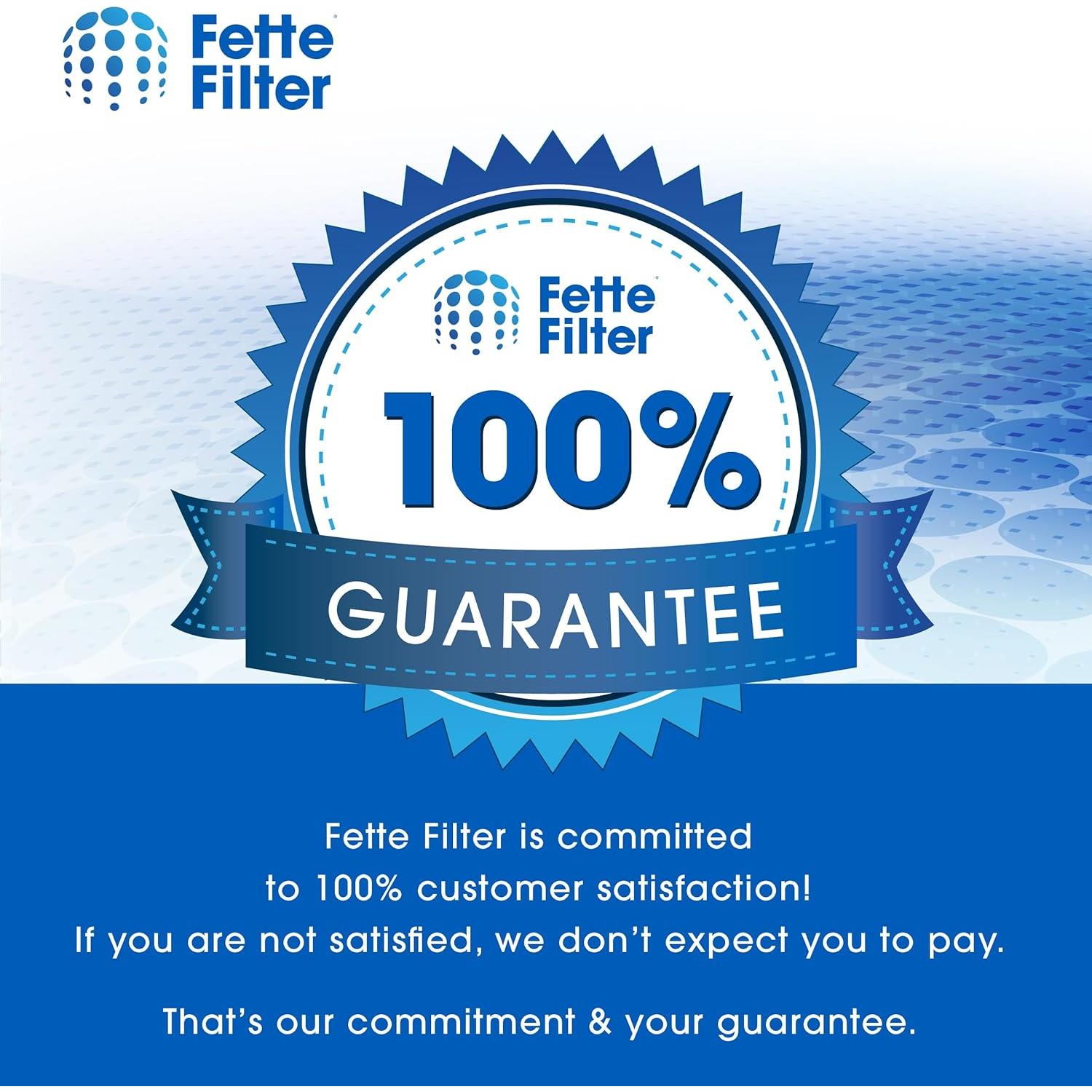 Filtros de Reemplazo Fette Filter HNVDF10 para Aspiradora BLACK+DECKER