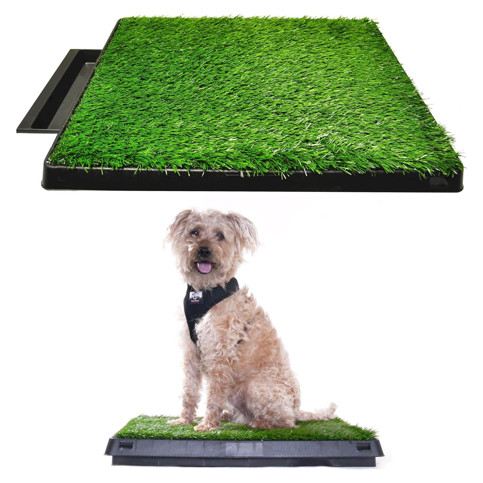 Alfombrilla de Césped para Perros Downtown Pet Supply 63x51cm