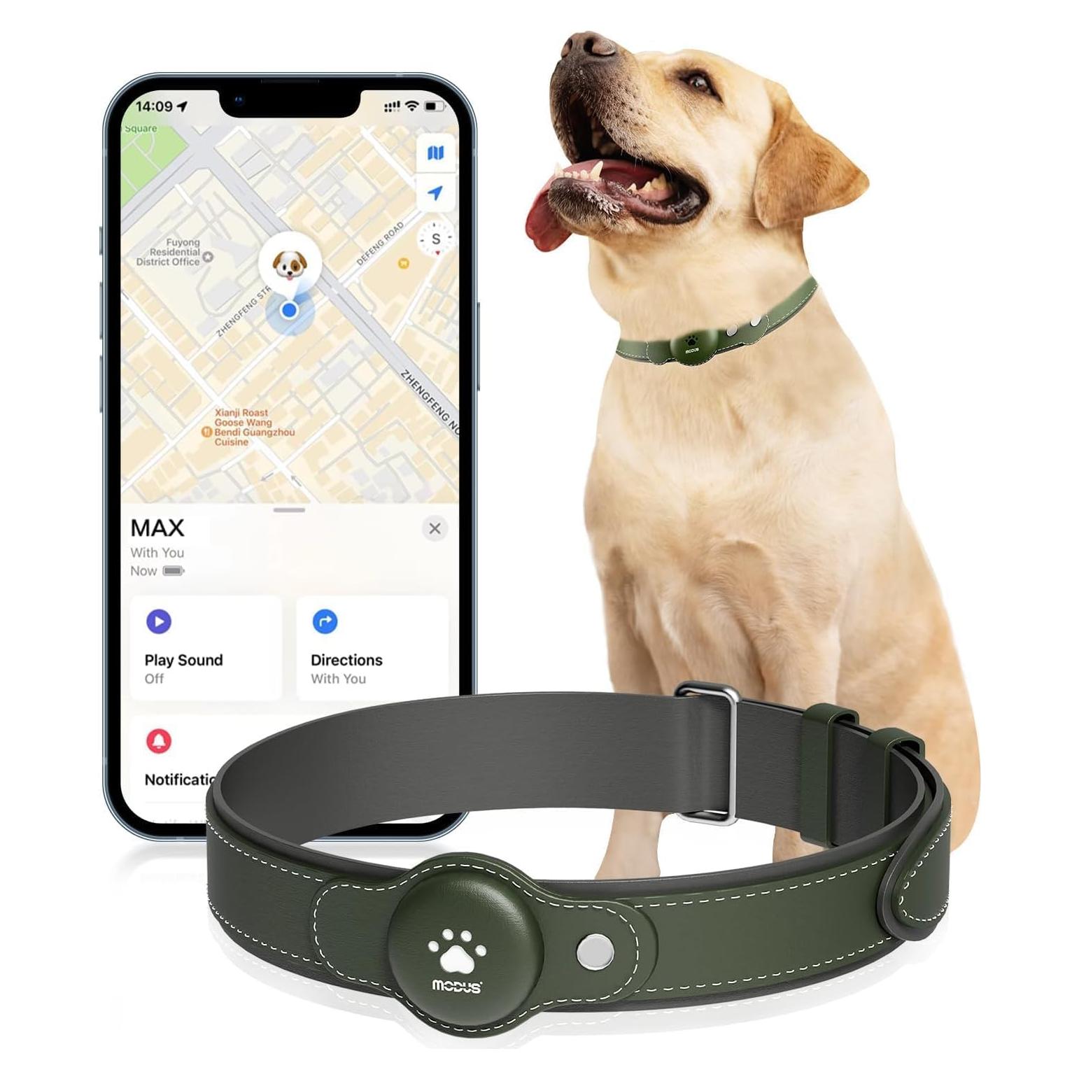Collar GPS para Perros MODUS M-249 Verde, Sin Cuota Mensual