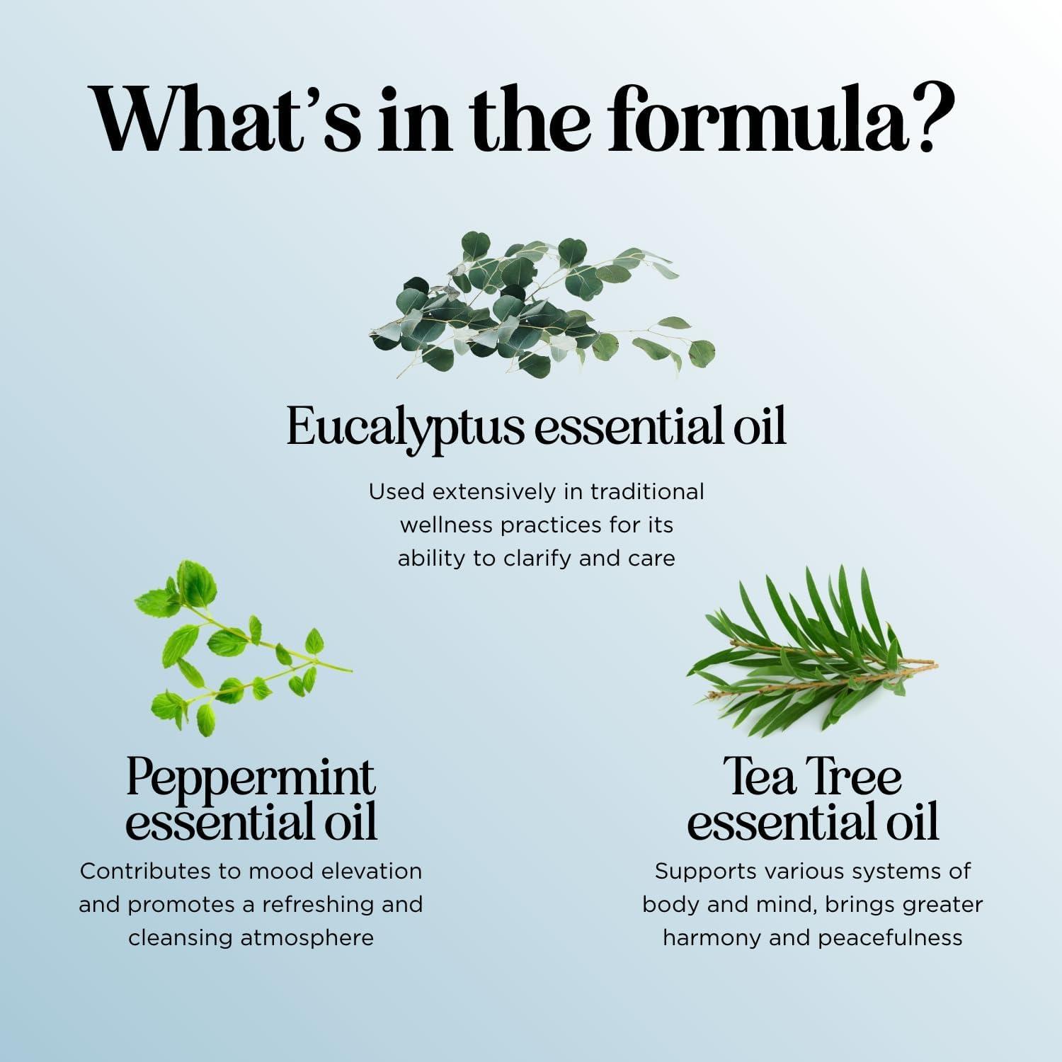 Aceite Esencial Breathe Maple Holistics 29.57 ml Eucalipto Menta