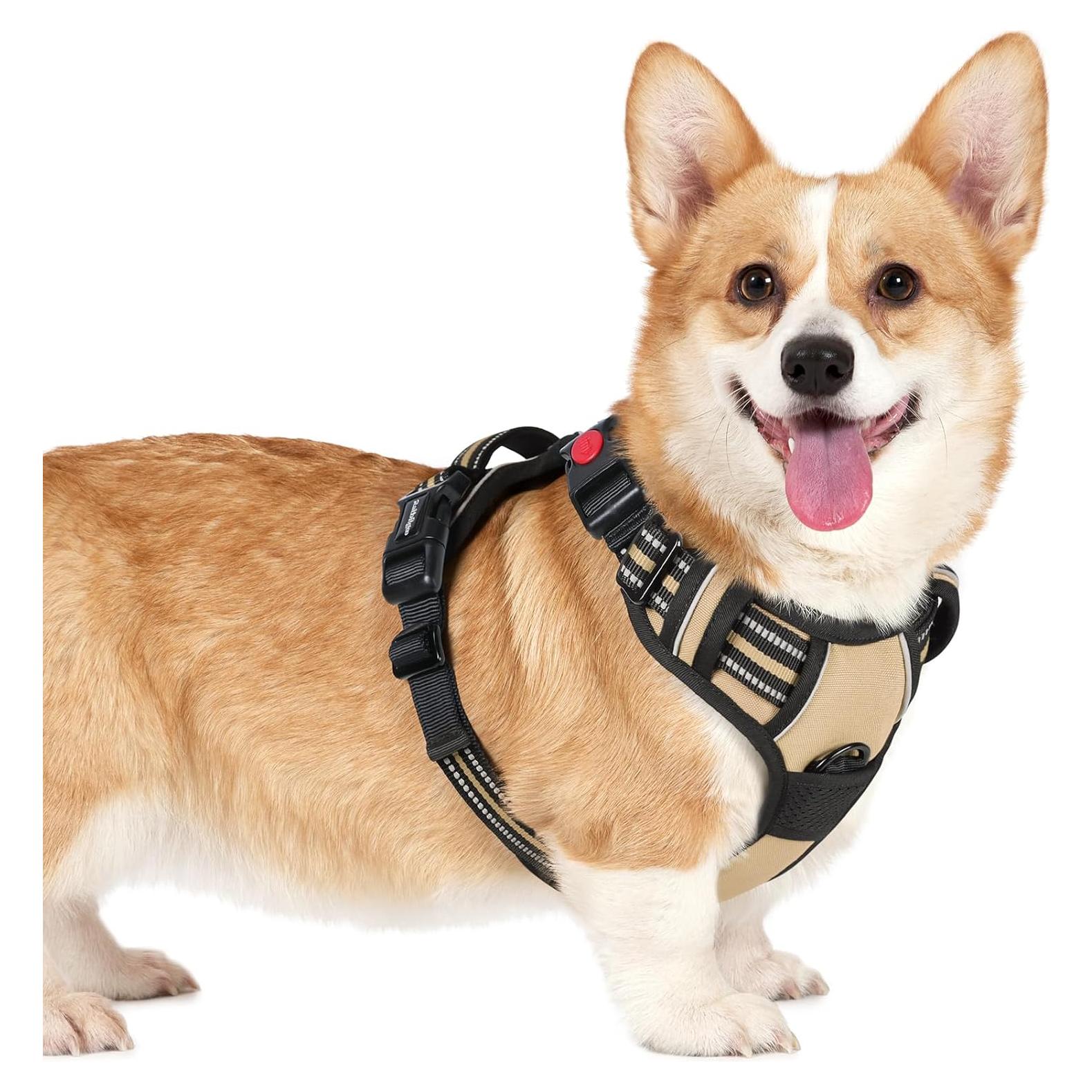 Arnés para Perros Rabbitgoo Pequeño Beige Ajustable Sin Tirones