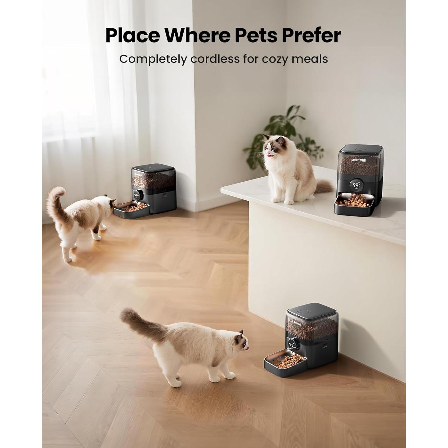 Comedero Automático Inalámbrico Oneisall 3L WiFi para Gatos