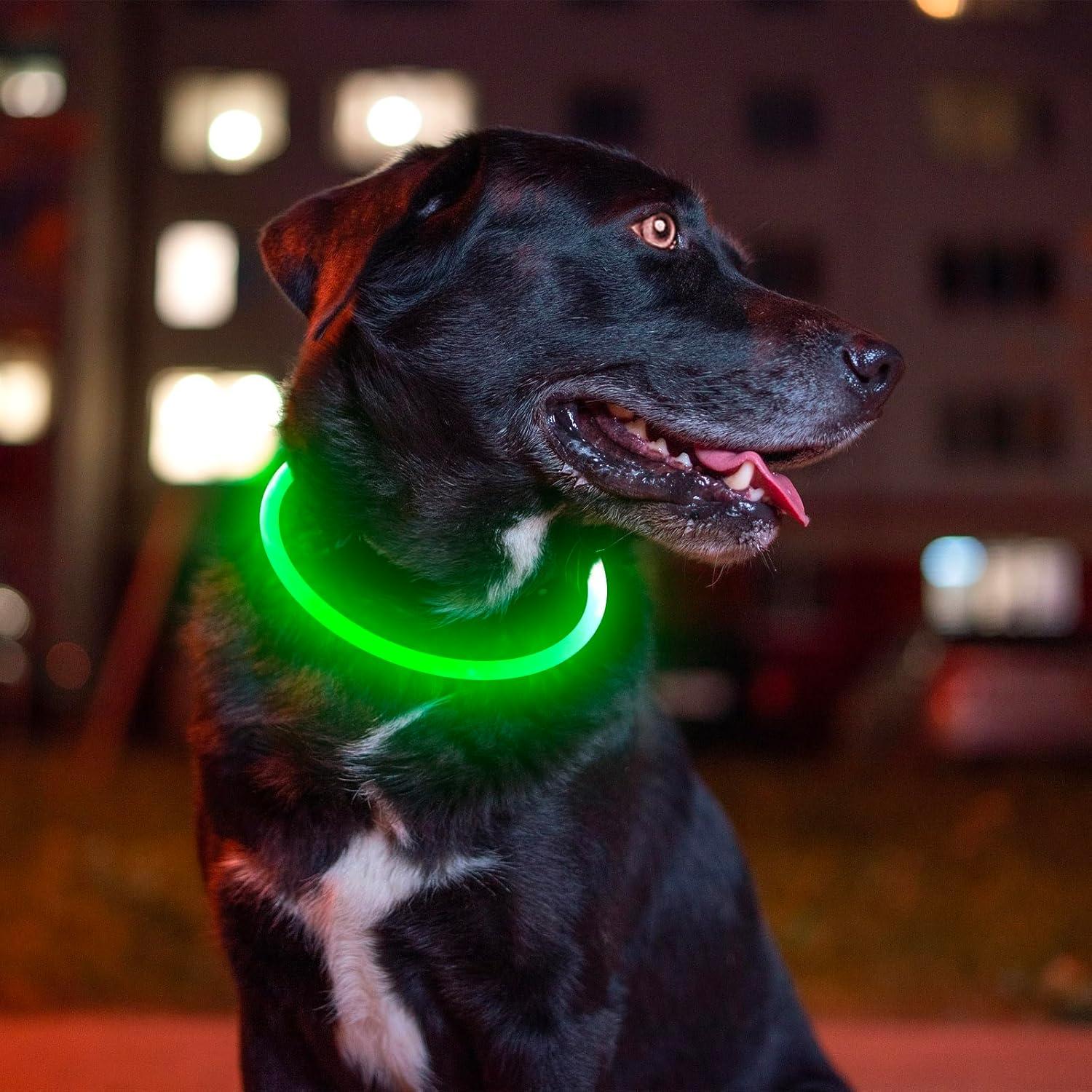 Collar de Perro LED BSEEN Recargable USB Verde 69.85 cm
