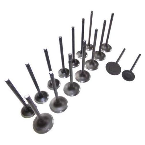 Kit Válvula de Admisión y Escape DNJ para Toyota 4Runner 2.4L 2.7L