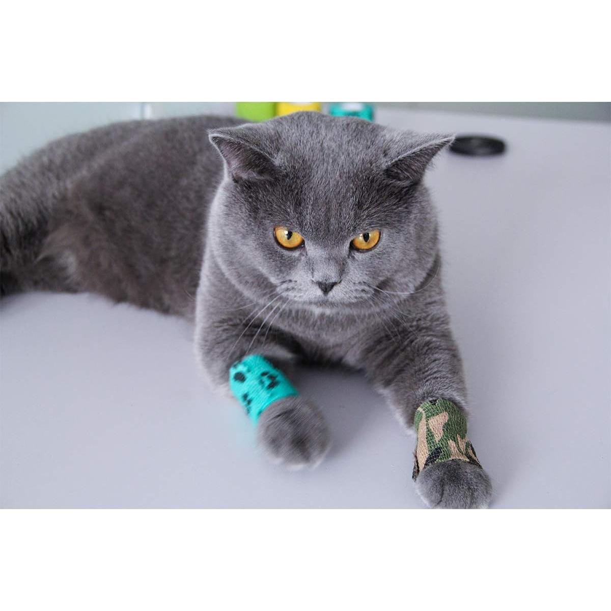 Vendaje Cohesivo Autoadhesivo AUPCON 5.08 cm para Mascotas