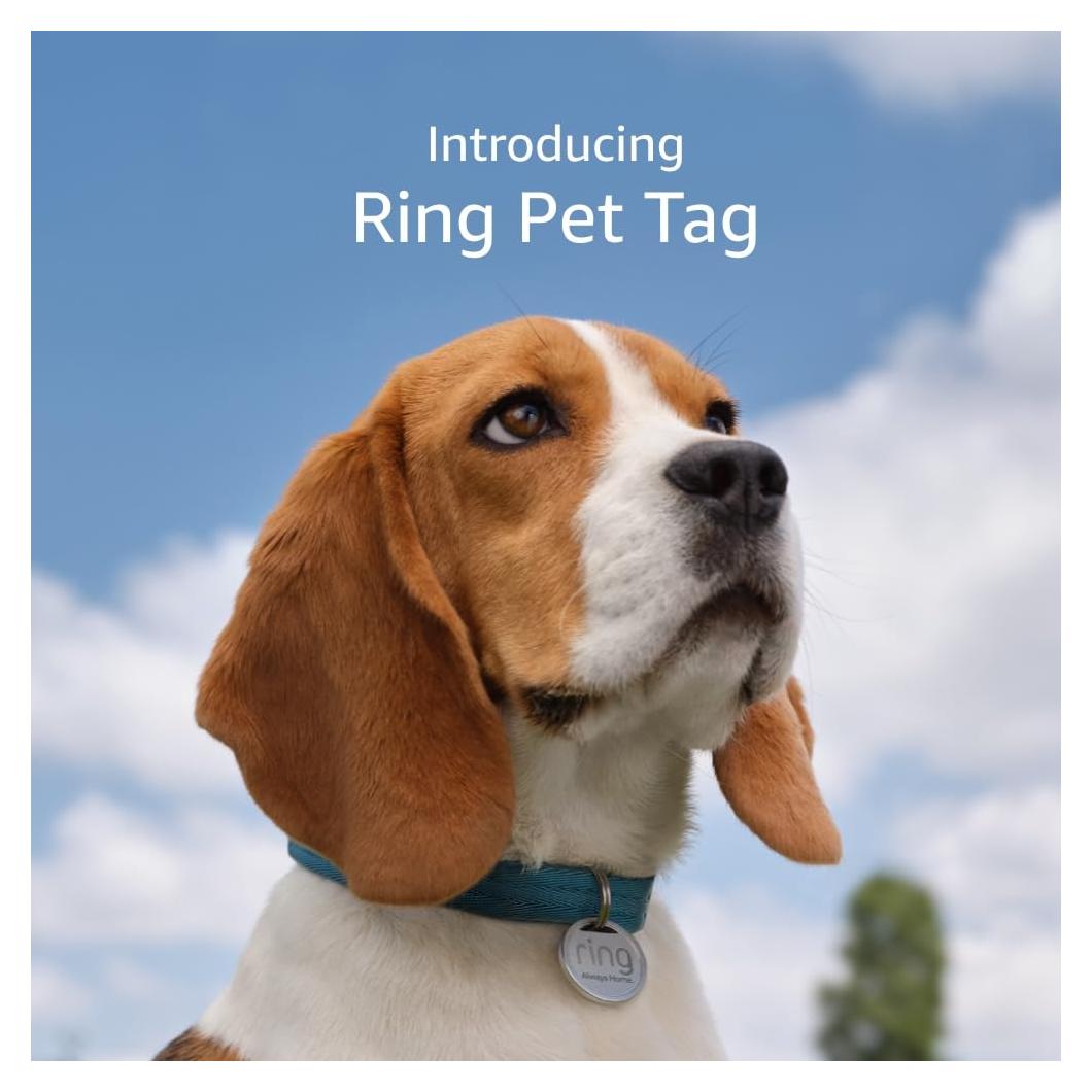 Ring Pet Tag | Easy-to-use tag with QR code | Real-time scan alerts | Shareable Pet Profile | No subscription or fees