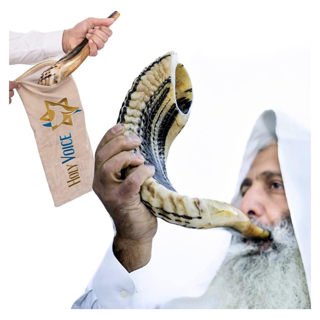 Shofar de Carnero Kosher Holy Voice 30-35 cm con Bolsa
