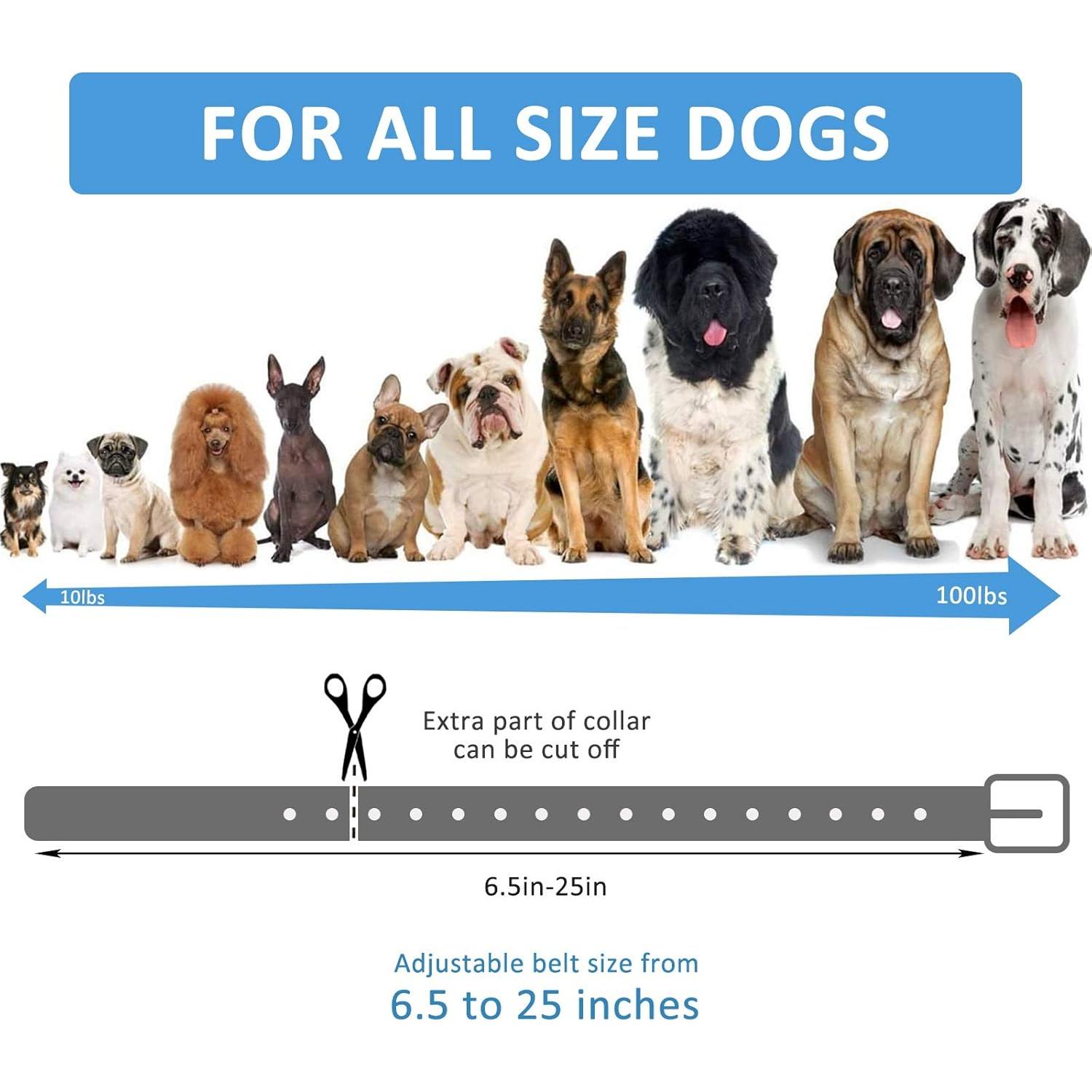 Correa de perro impermeable LuckinPET 1.9 cm x 71.1 cm ajustable