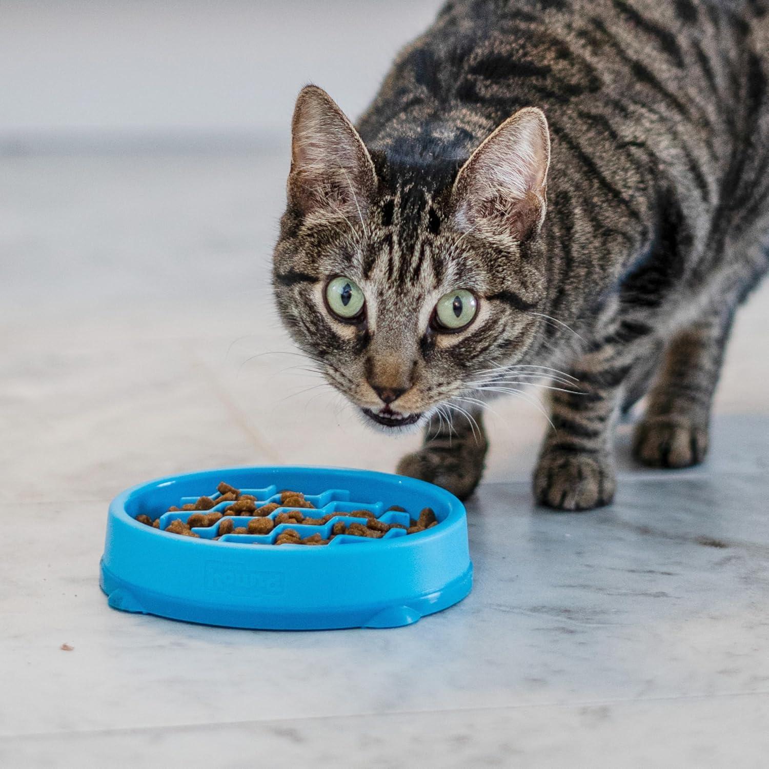 Tazón de Alimentación Lenta para Gatos Outward Hound Azul