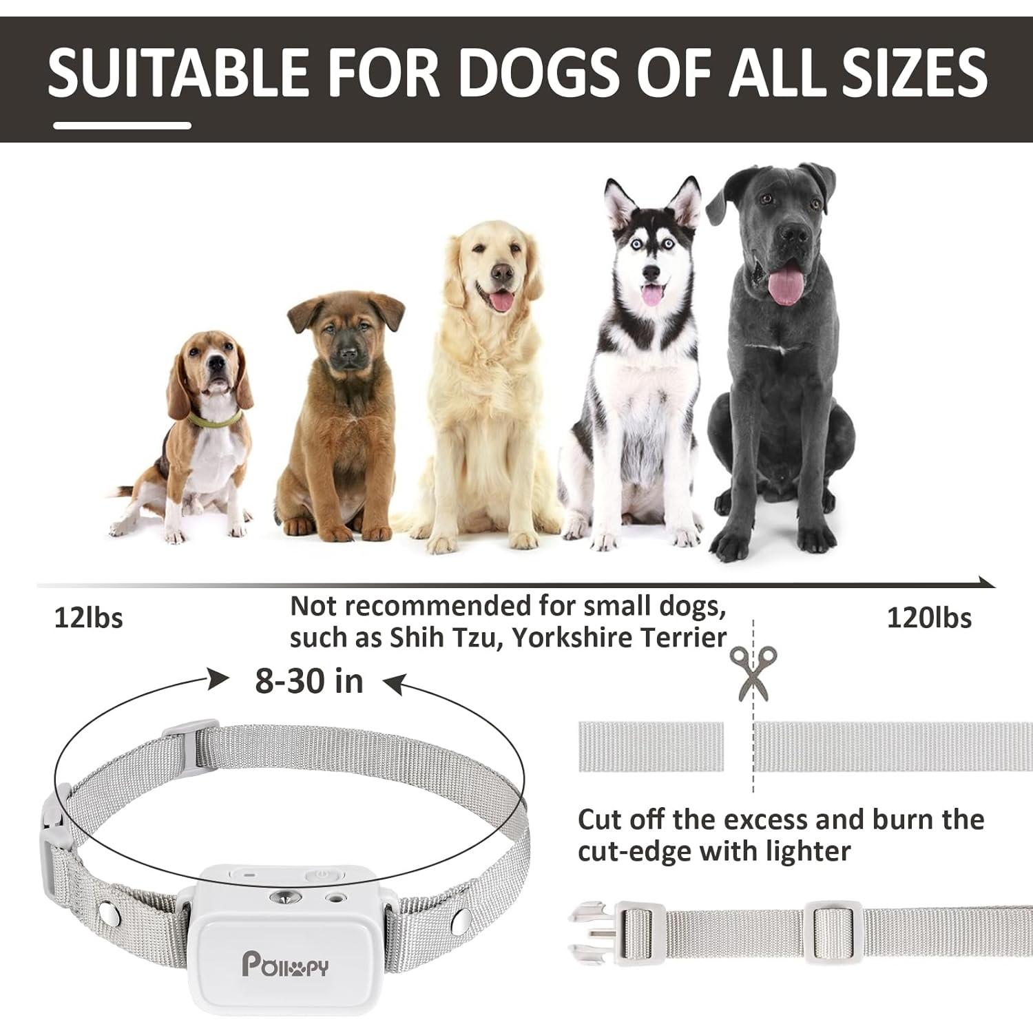 Collar de Entrenamiento para Perros POIIOPY P-510 Citronela