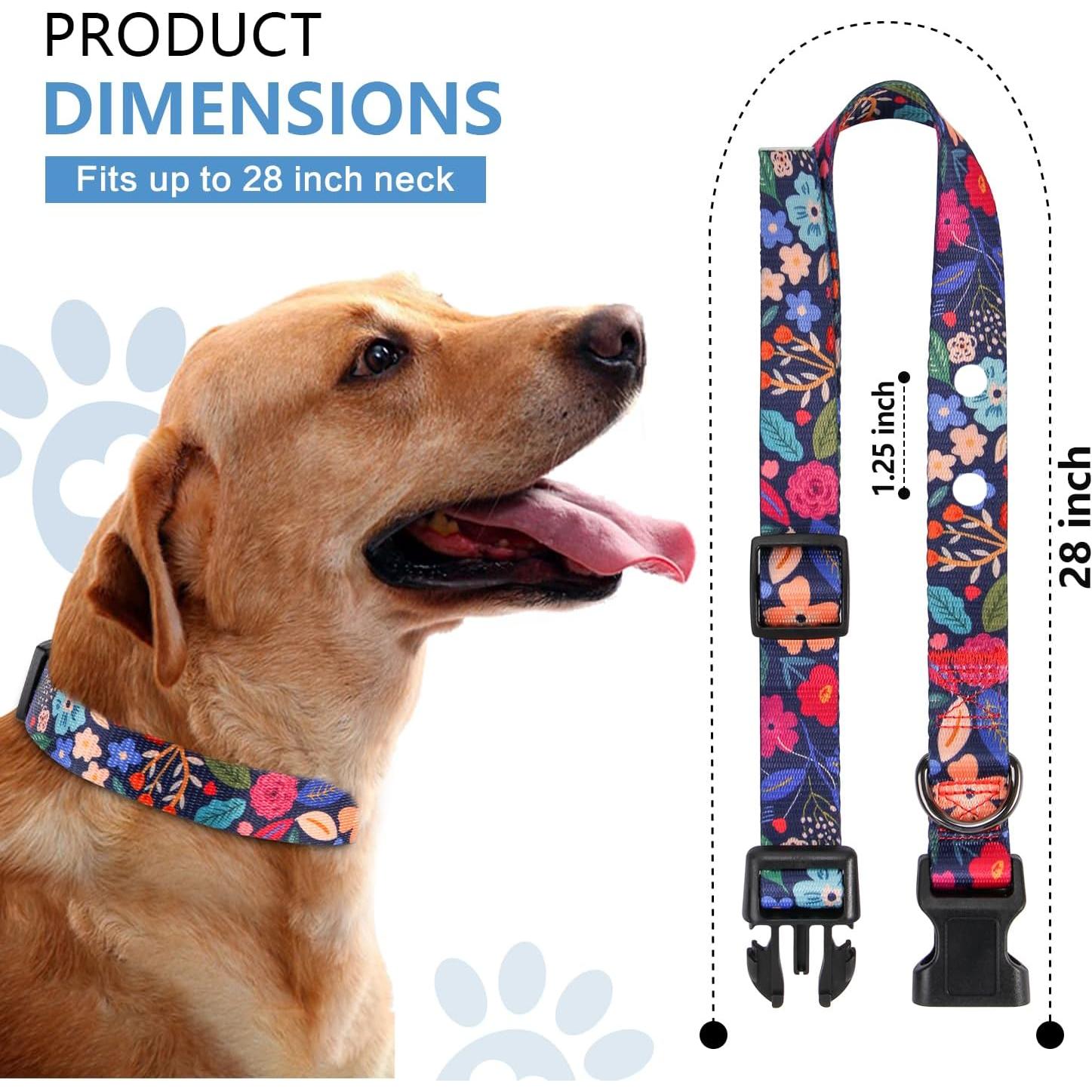 Correa de Reemplazo Rhea Rose 1" para Collar de Choque