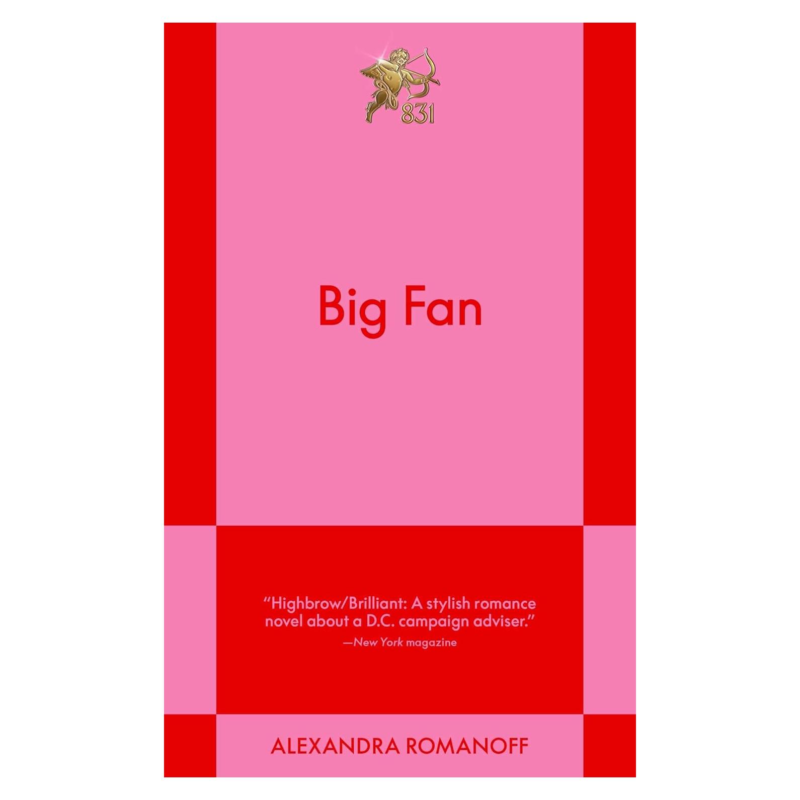 Big Fan: An 831 Stories Romance (1) (The Big Fan Series)