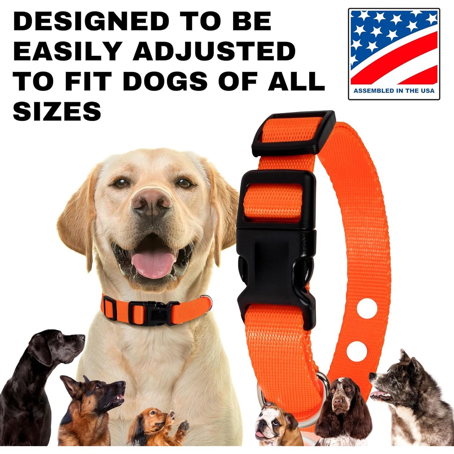 Correa de Reemplazo Nylon Gracie To The Rescue 2.54 cm Negro