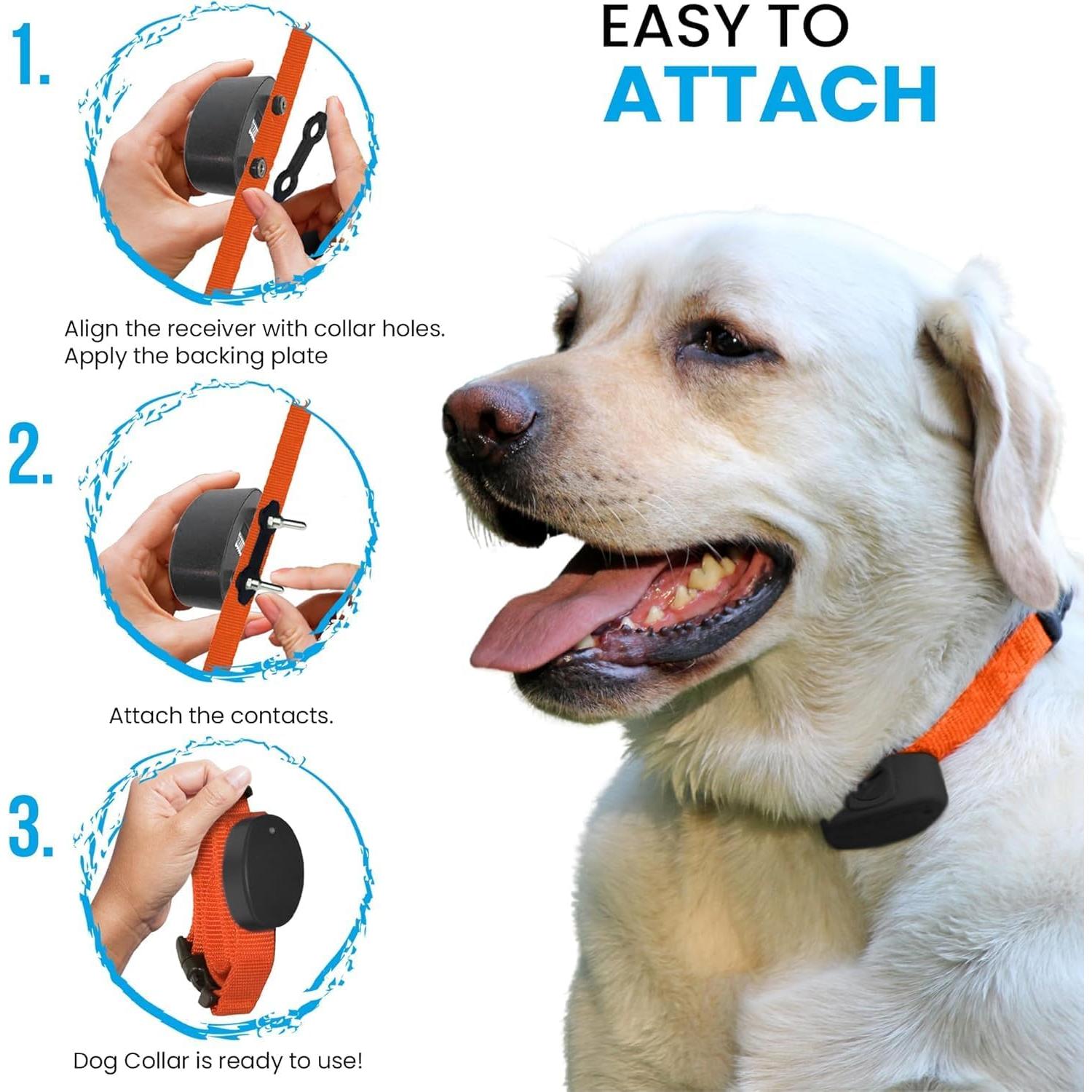 Correa de Reemplazo Nylon Gracie To The Rescue 2.54 cm Negro