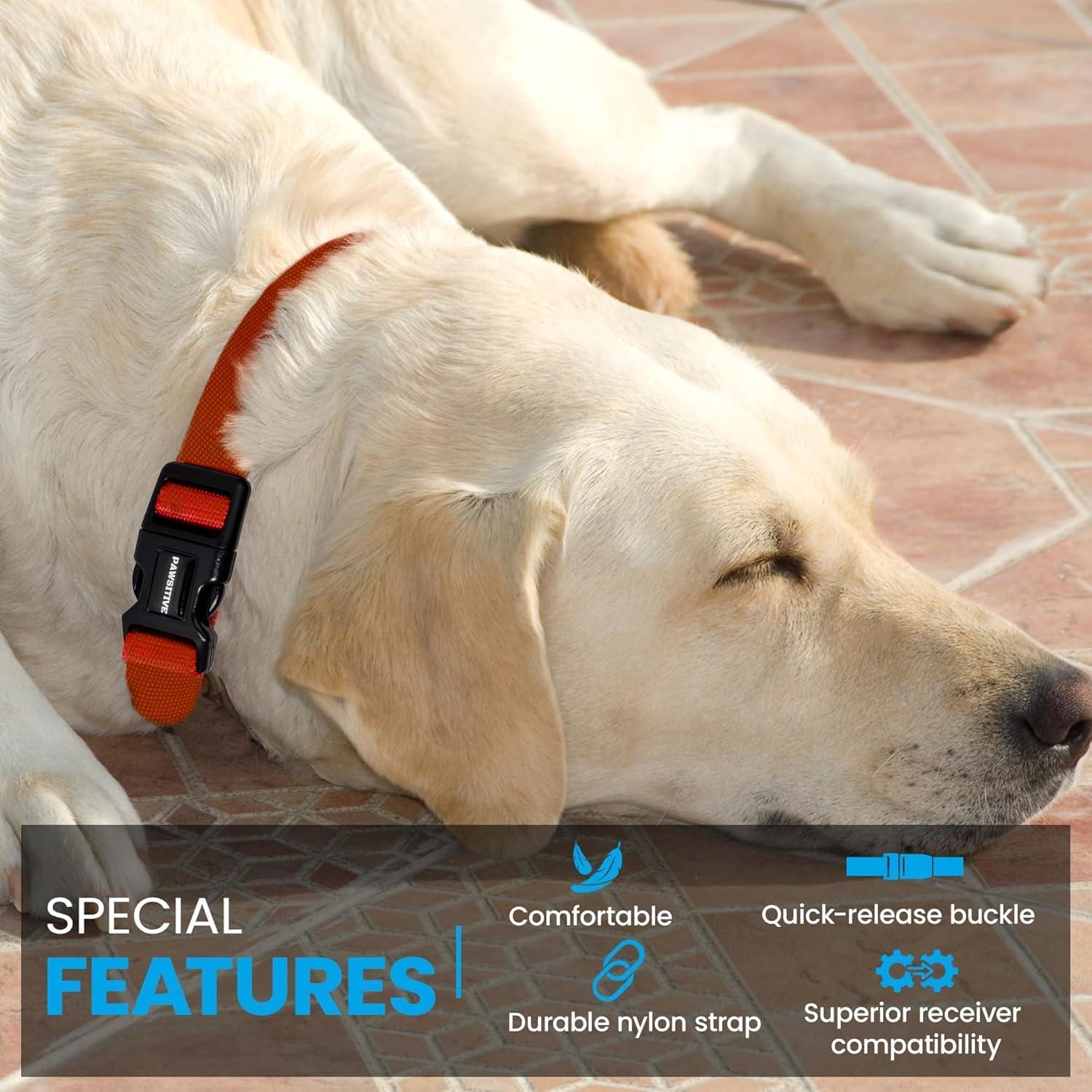 Correa de Reemplazo Nylon Gracie To The Rescue 2.54 cm Negro