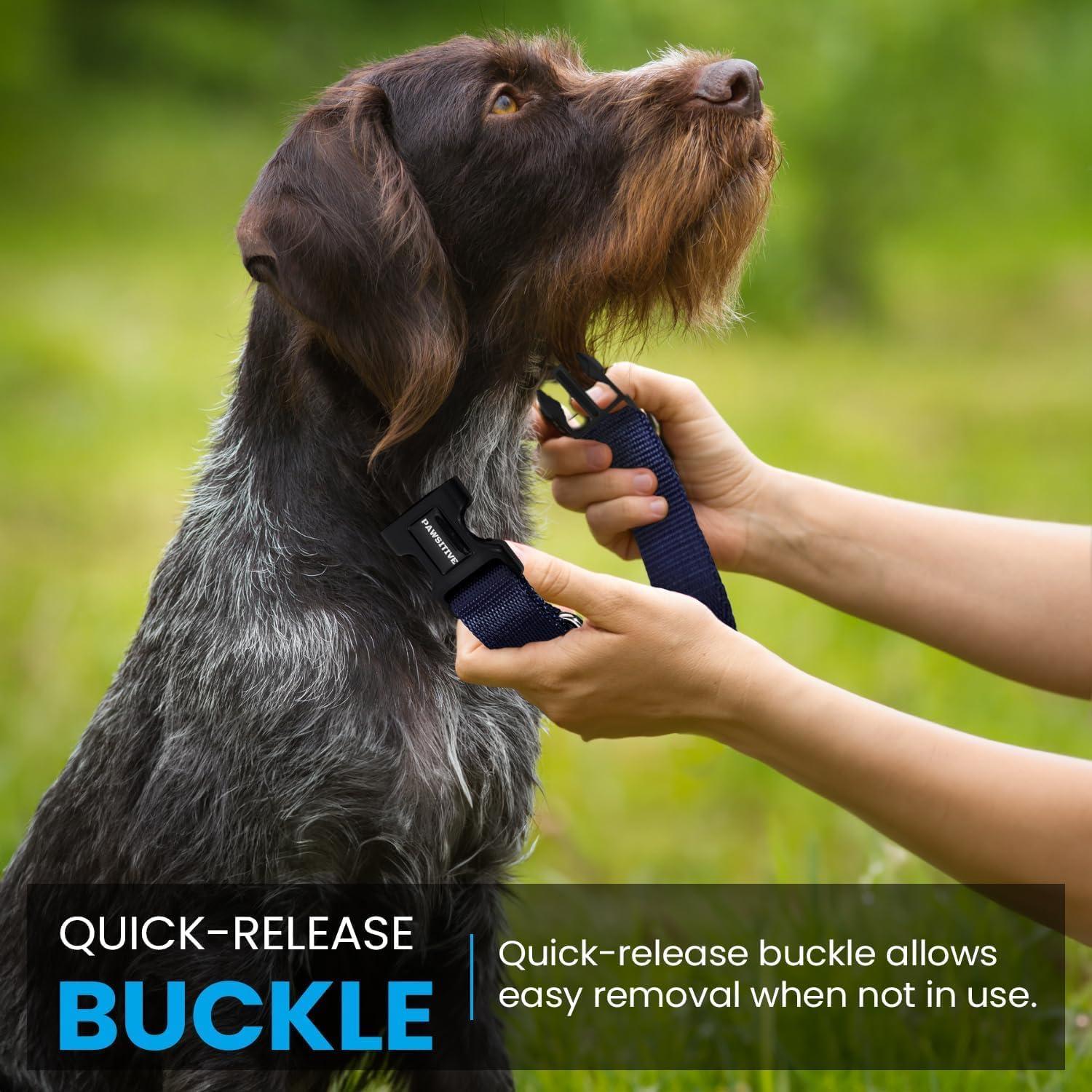 Correa de Reemplazo Nylon Gracie To The Rescue 2.54 cm Negro