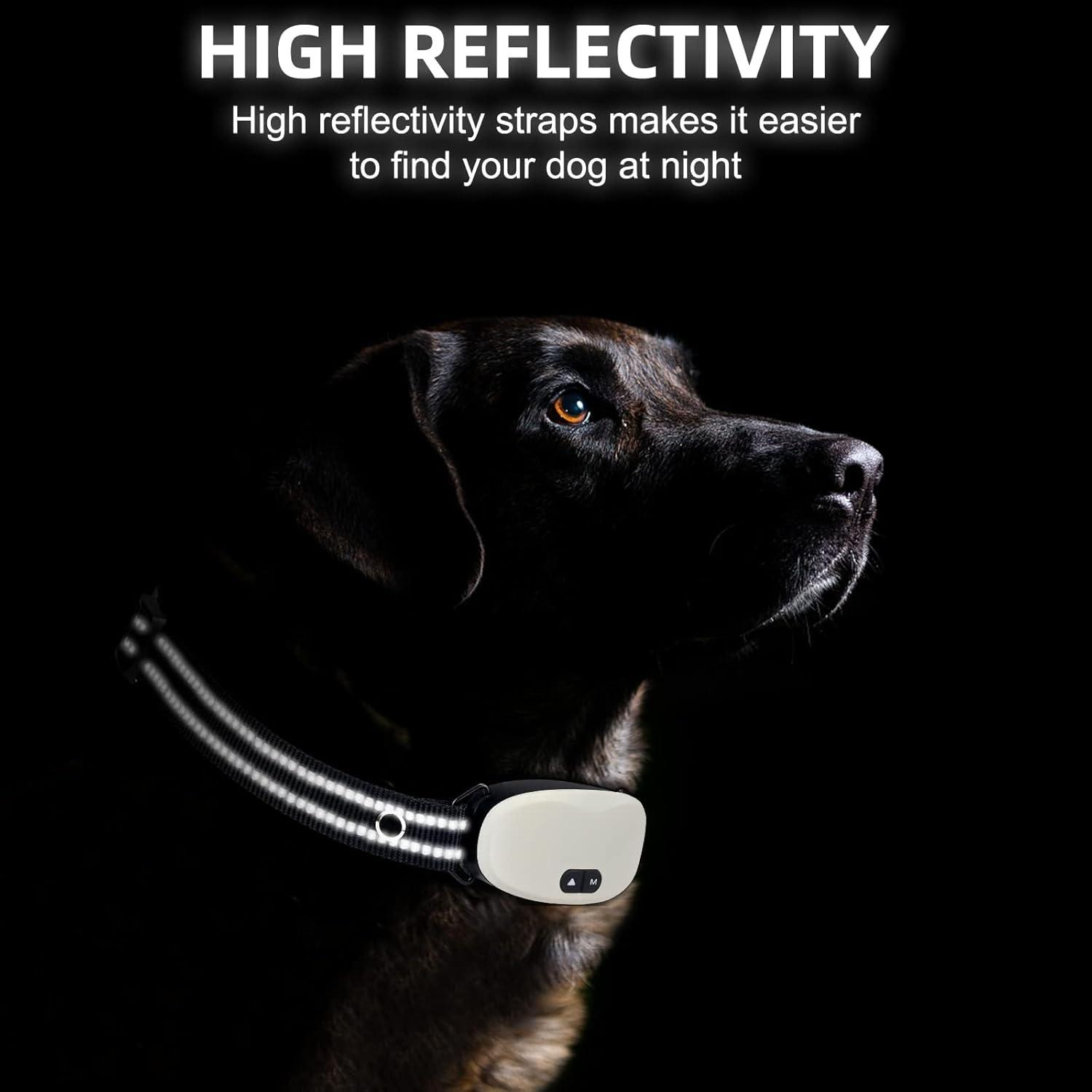 Correa de Reemplazo Nylon Reflectante Odokele 64.8cm Negra